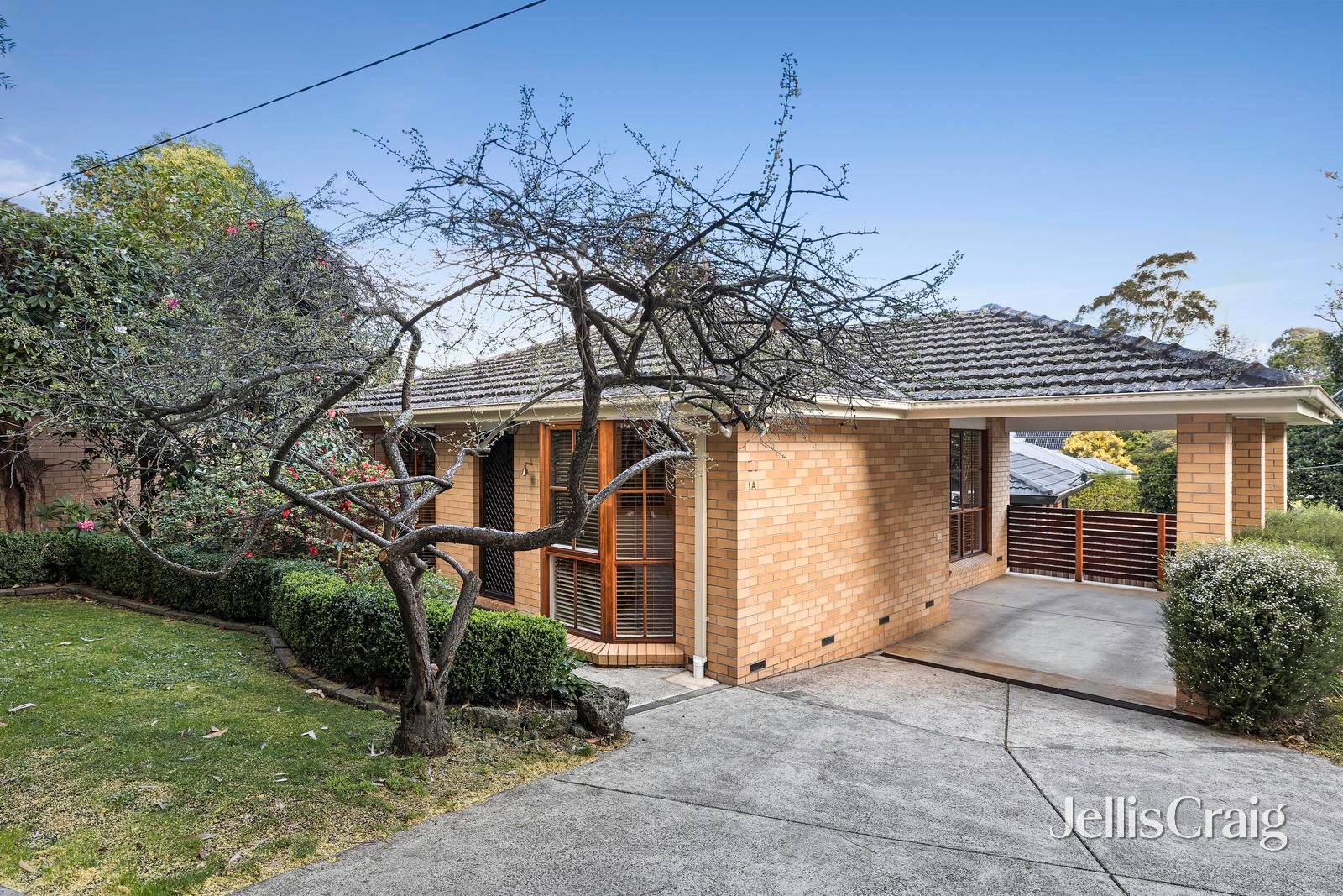 1A Orchard Grove, Heathmont image 14