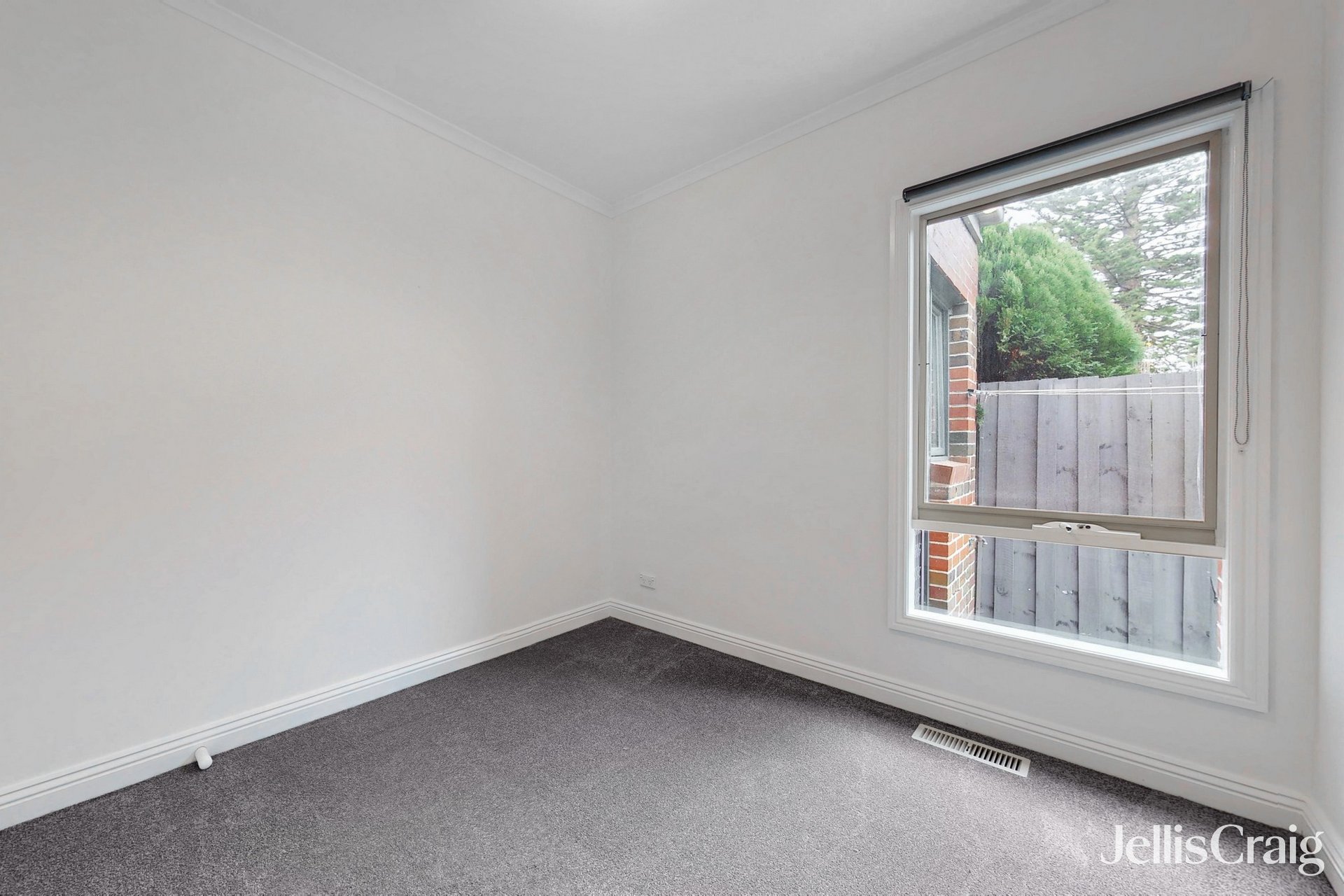 1B Oloughlan Street, Ormond image 9