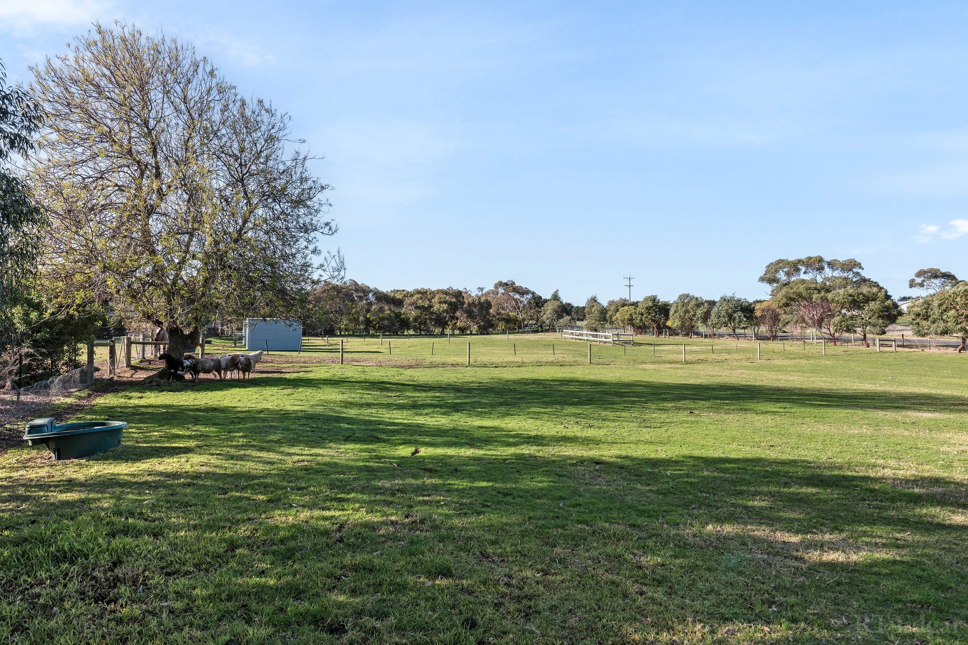 Property Gallery Thumbnail 19