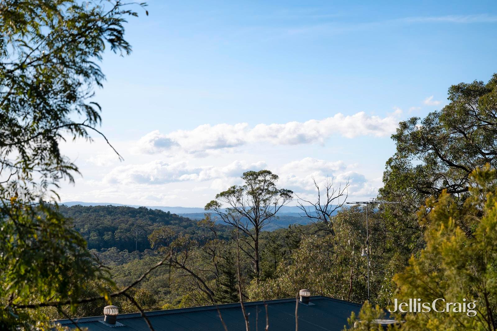 2-4 Stringy Bark Rise, Croydon North image 4