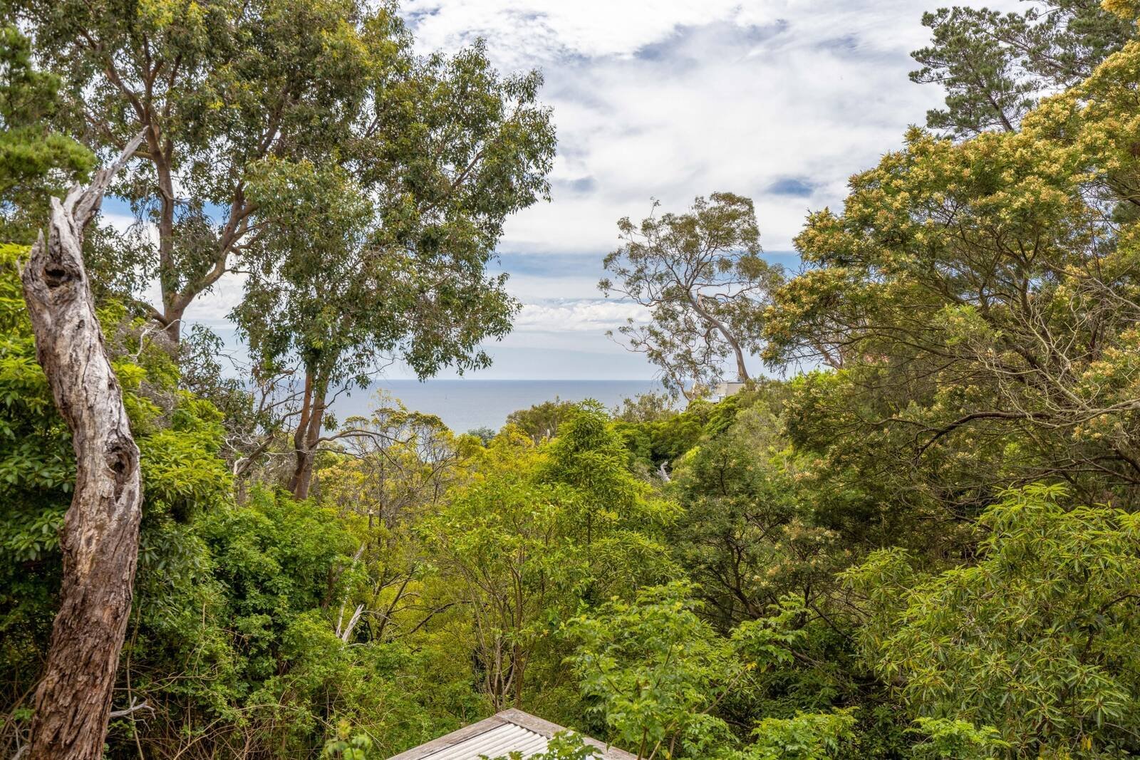 Property Gallery Thumbnail 12