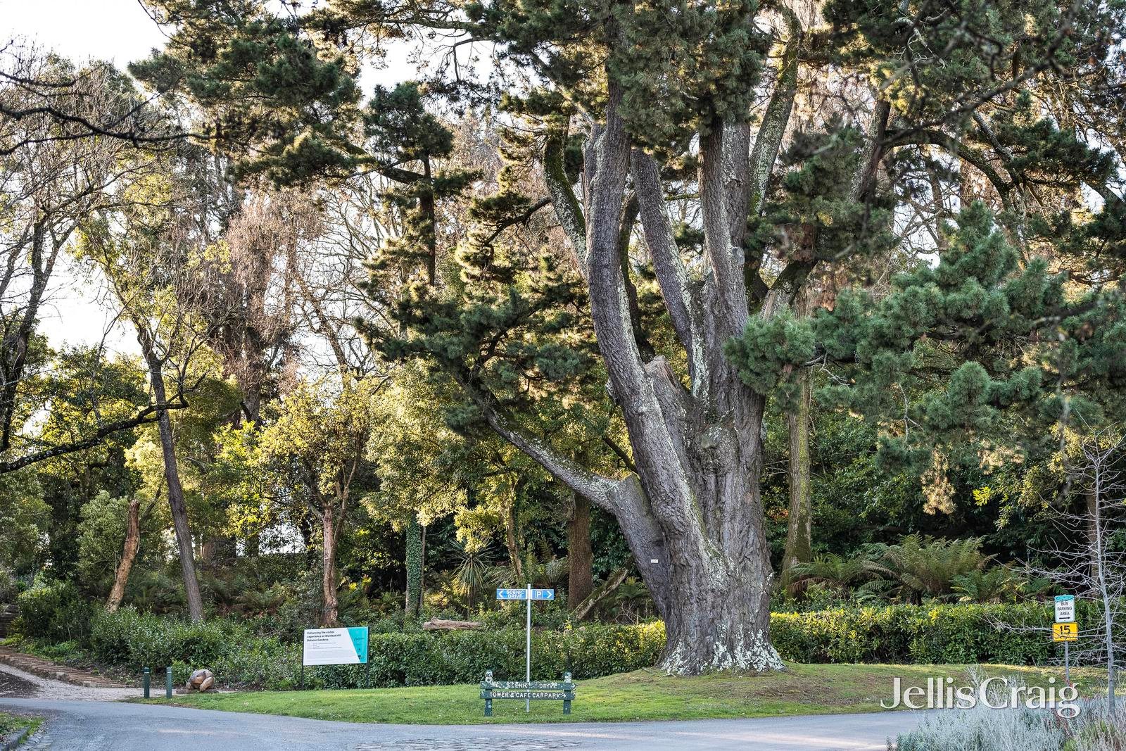 2 Albert Lane, Daylesford image 21