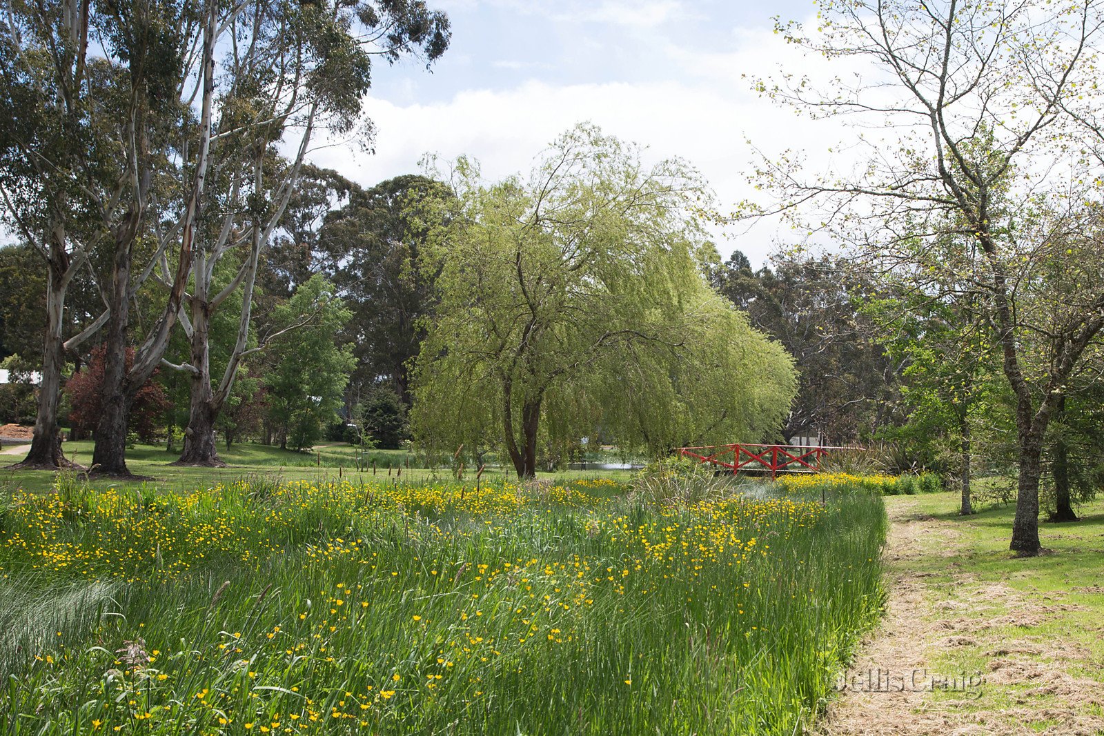 2 Blue Mount Road, Trentham image 6