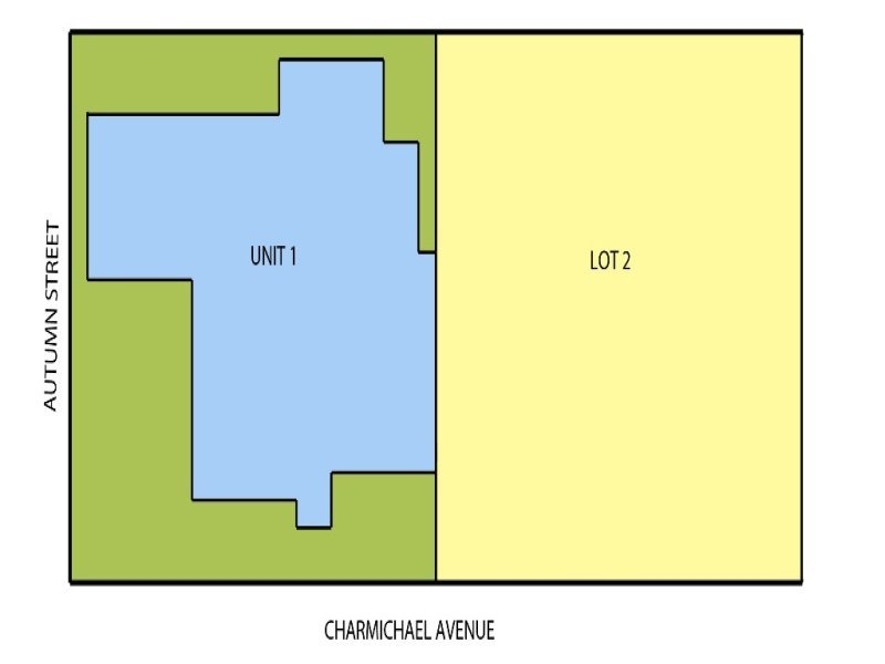 2 Carmichael Avenue, Newtown image 12