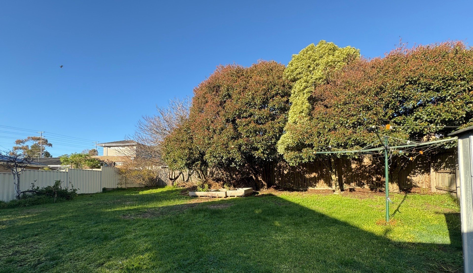 2 Cassia Court, Endeavour Hills image 8