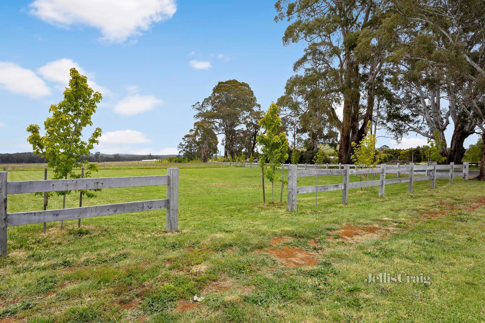 2 Collins Road, Glenlyon image 3