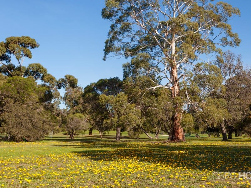 2 Finch Street, Altona image 8