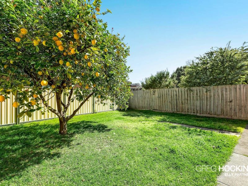 2 Finley Road, Altona image 14