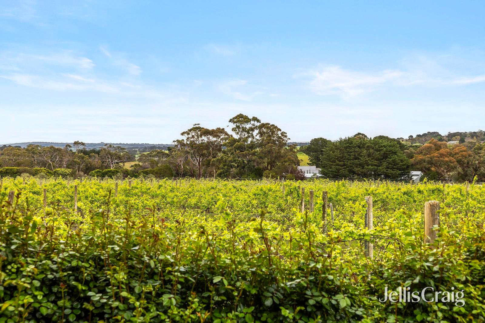 2 Godings Road, Moorooduc image 5