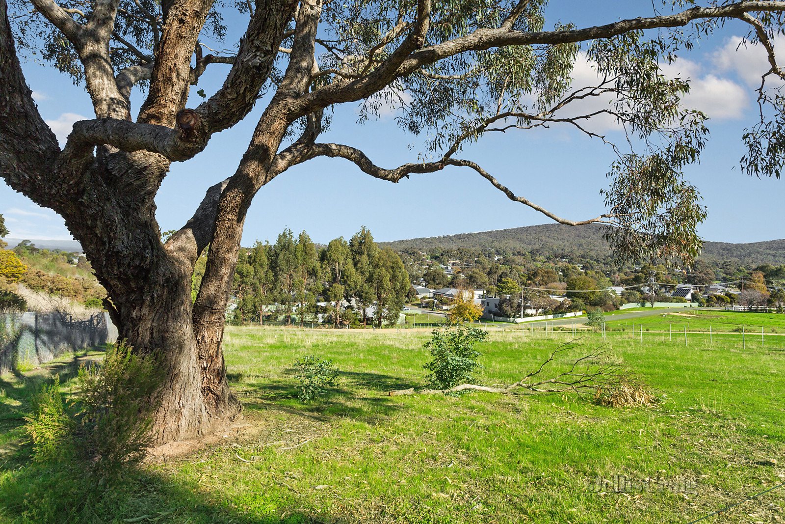 2 Grigg Street, Maldon image 3