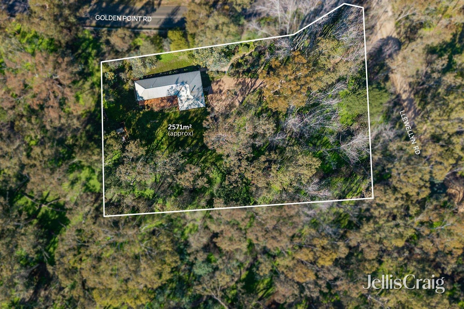 2 Llewellyn Road, Golden&nbsp;Point image 15