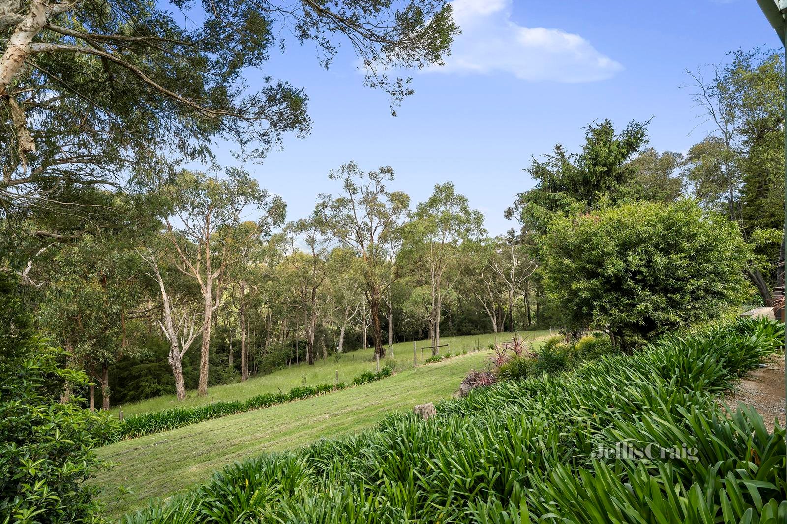 2 Margaret Road, Healesville image 16