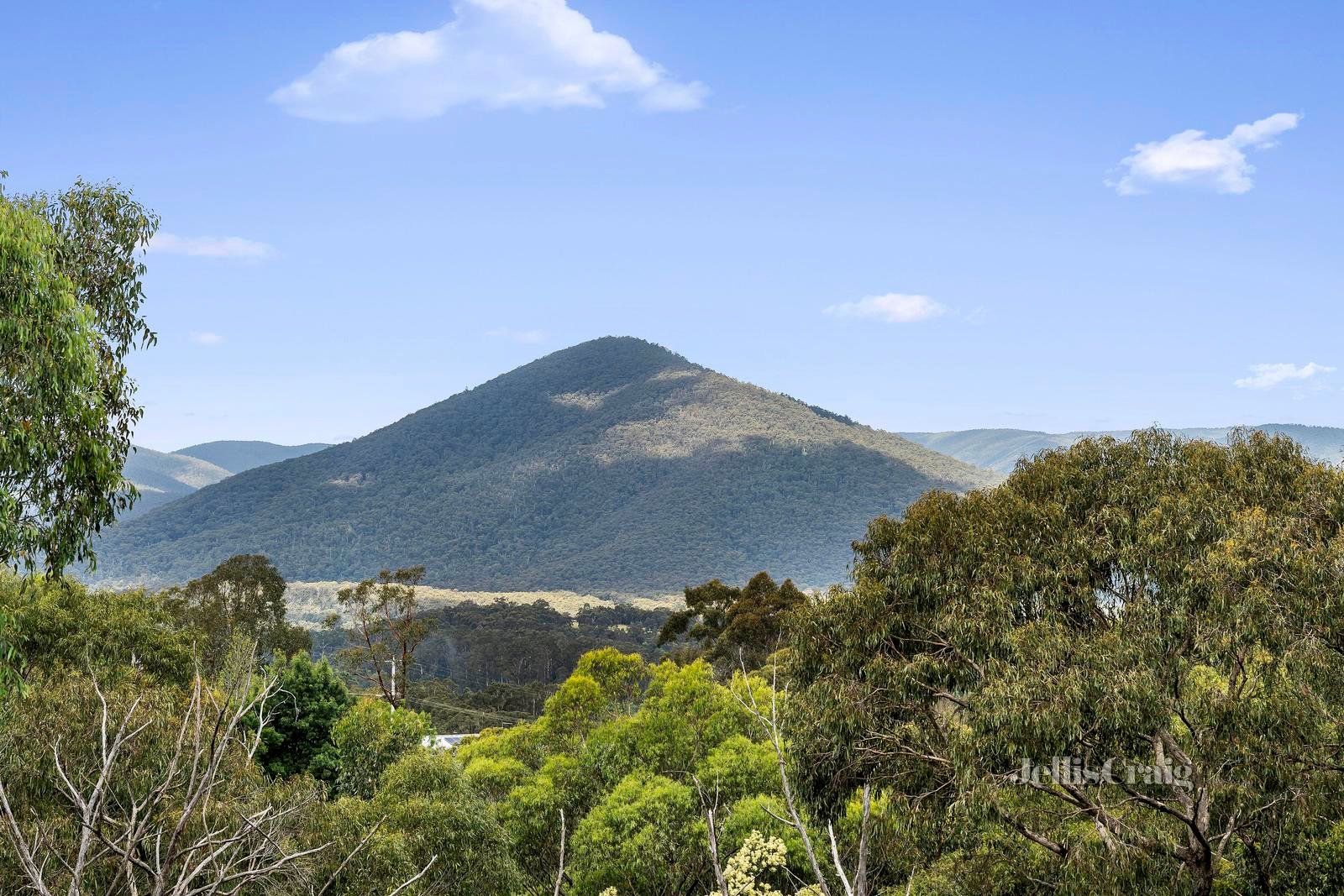 2 Margaret Road, Healesville image 17