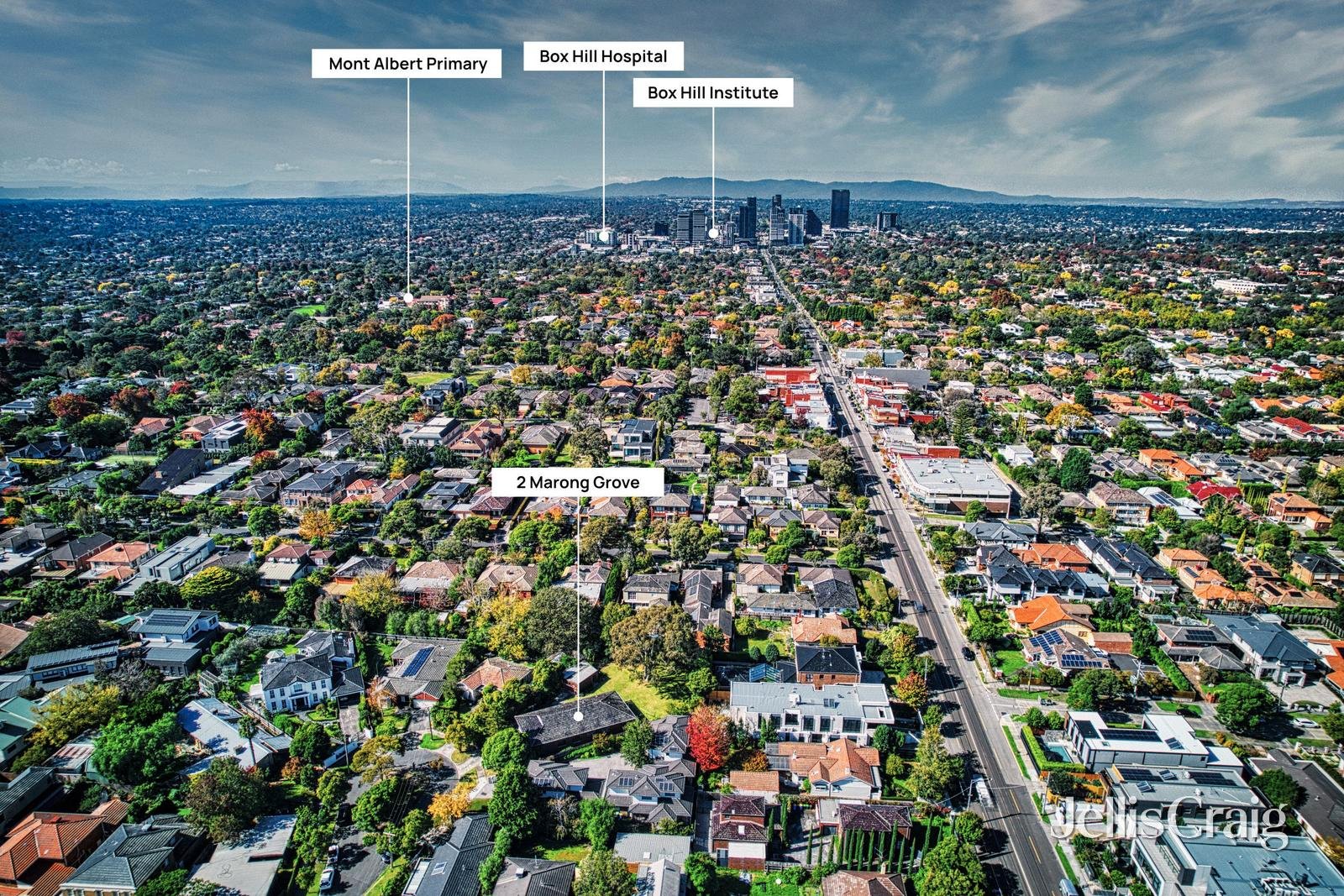 2 Marong Grove, Balwyn image 11