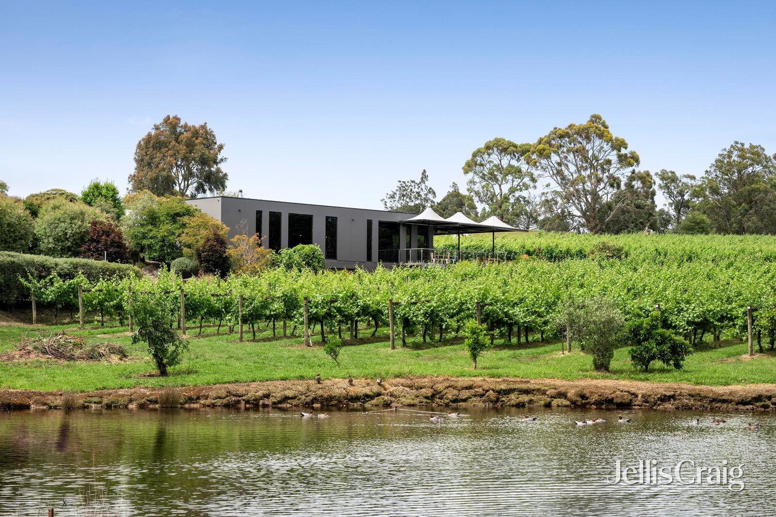 2 Maxwells Road, Coldstream image 1