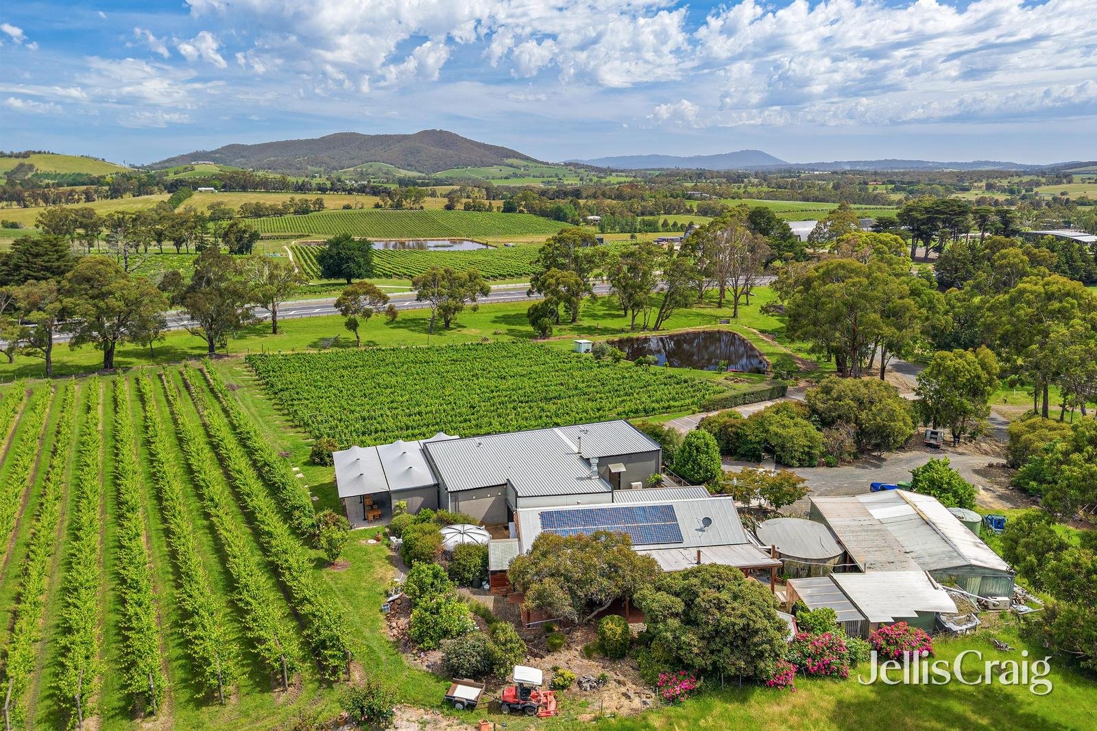 2 Maxwells Road, Coldstream image 3