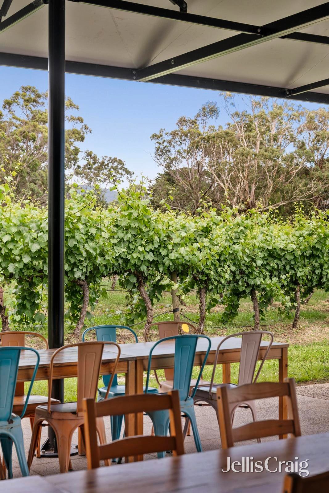 2 Maxwells Road, Coldstream image 11