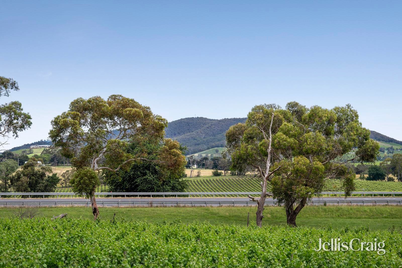 2 Maxwells Road, Coldstream image 14