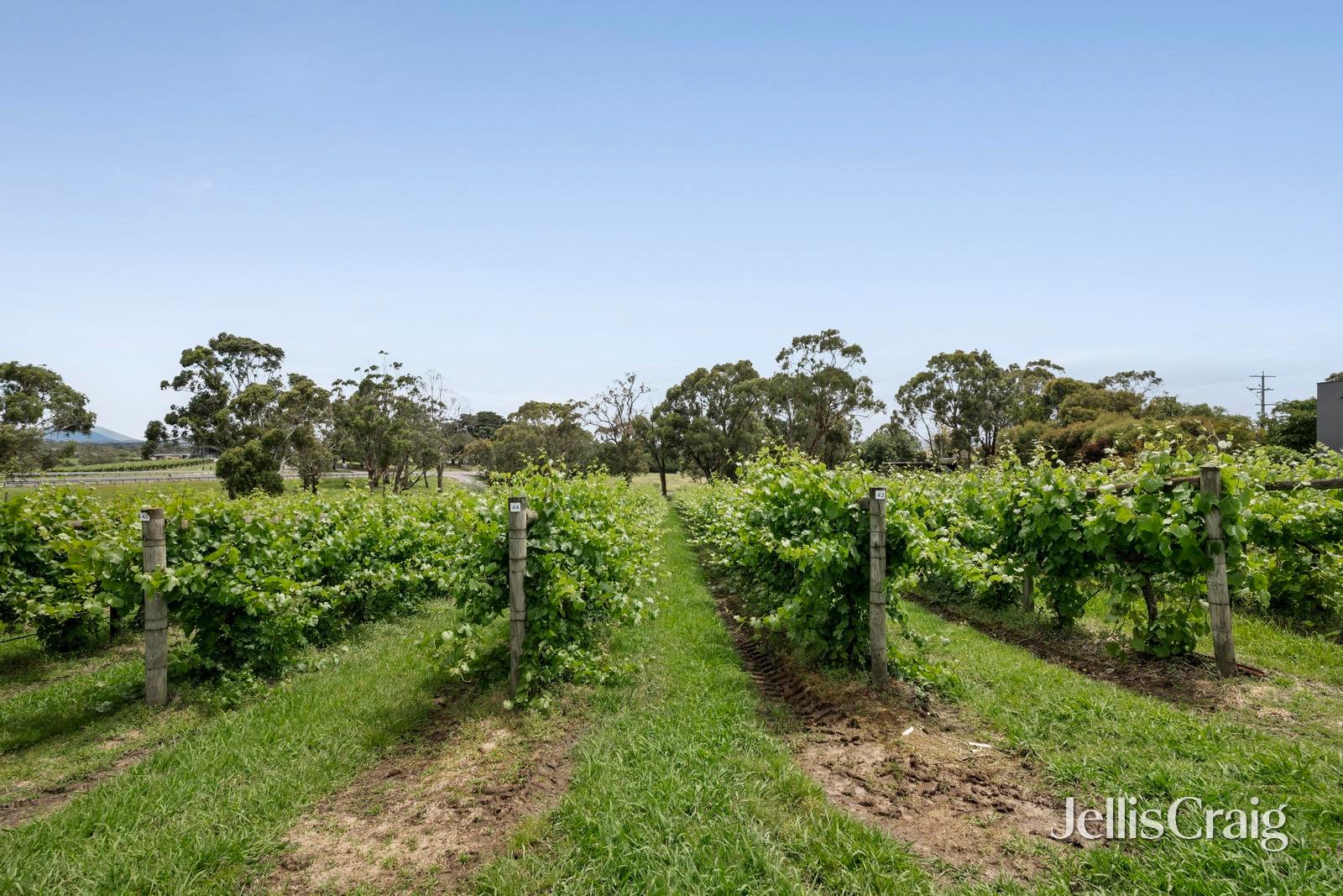 2 Maxwells Road, Coldstream image 21