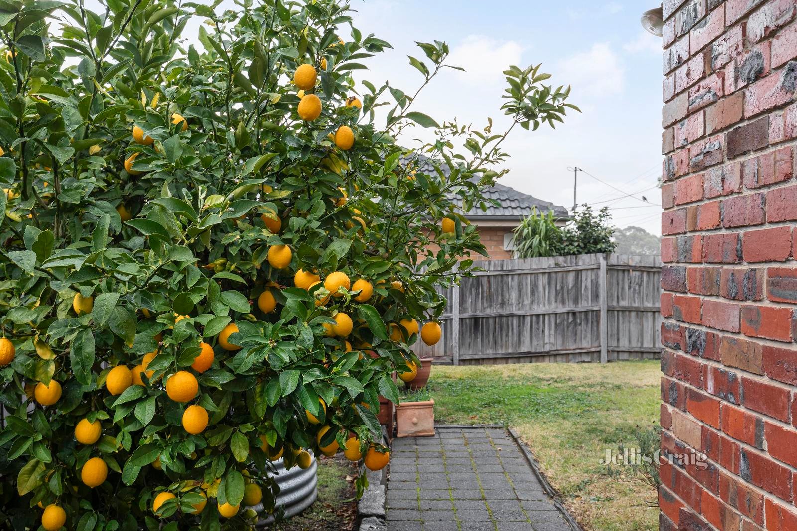 2 Mckenzie Court, Greensborough image 16