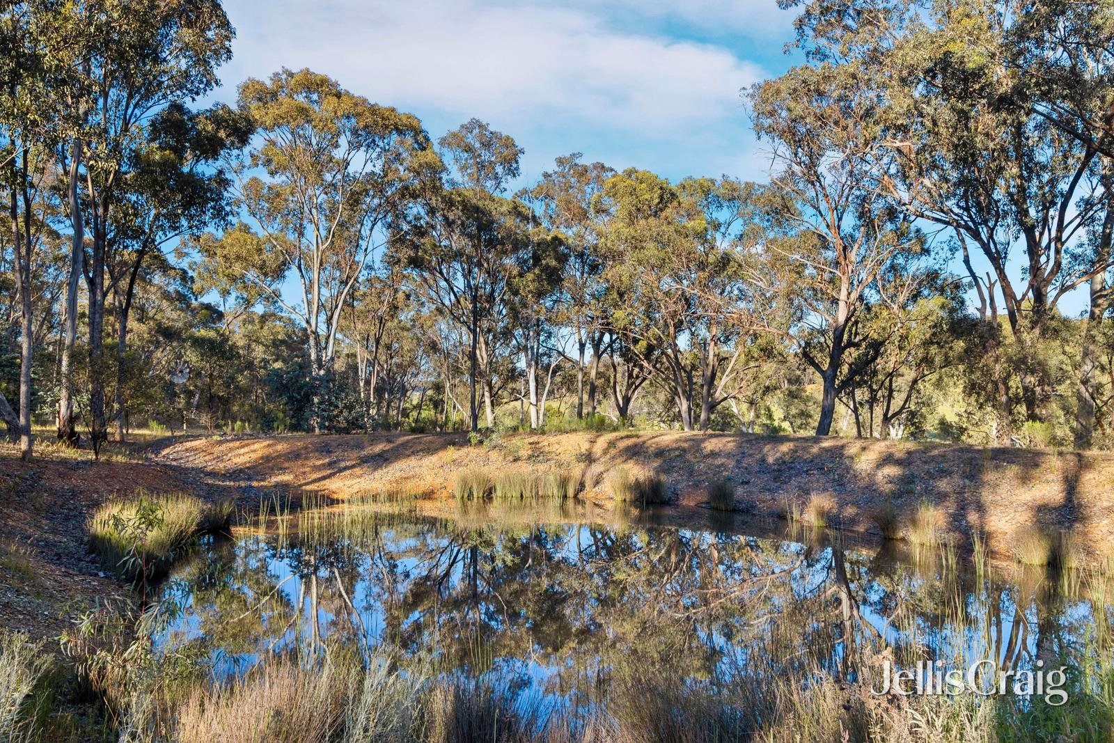 2 McMillan Road, Green&nbsp;Gully image 13