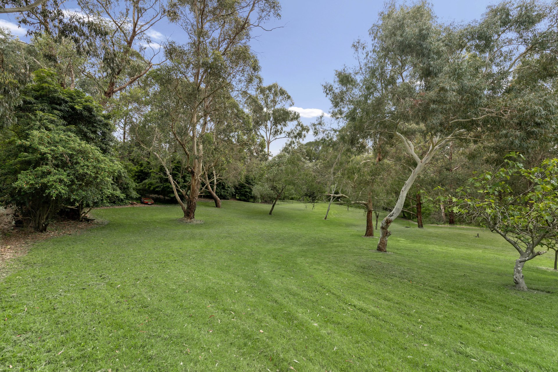 2 Milne Road, Park&nbsp;Orchards image 12