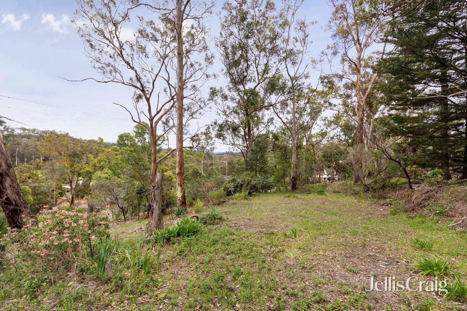 2 Scotts Angle Road, Wattle Glen image 2