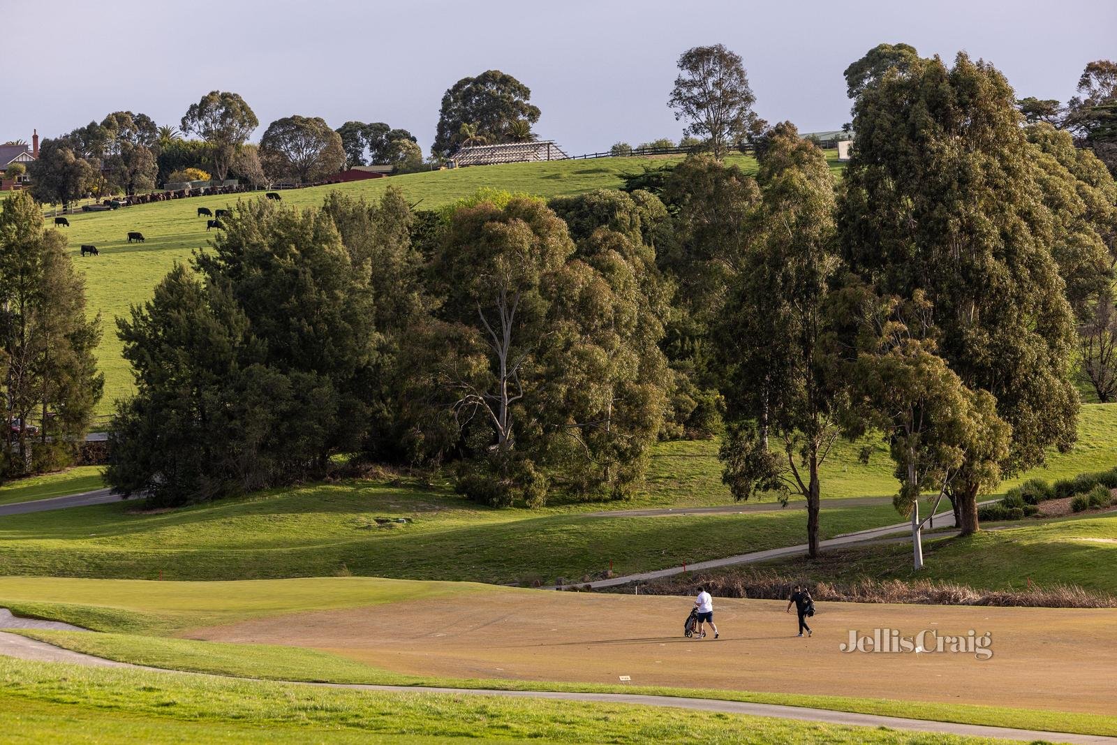 2 St John Circle, Chirnside Park image 30