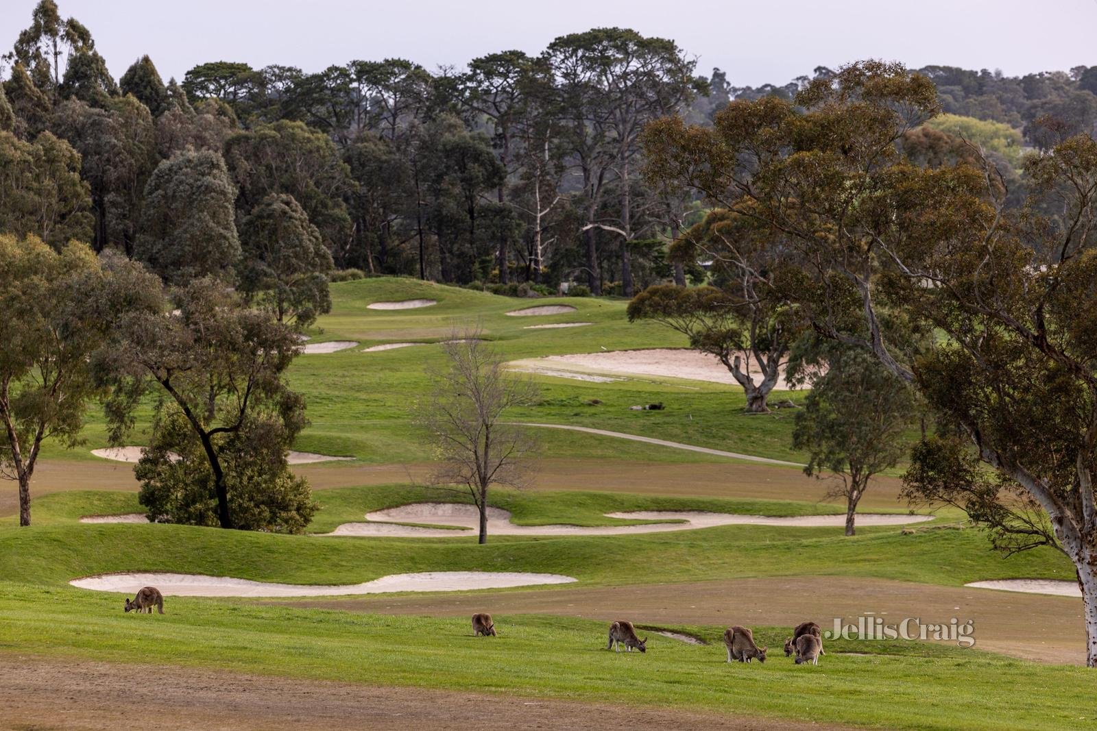 2 St John Circle, Chirnside Park image 31