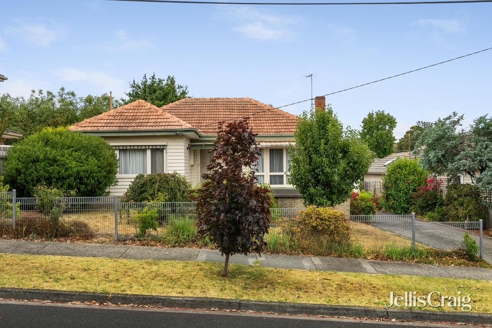 2 Vannam Drive, Ashwood image 5