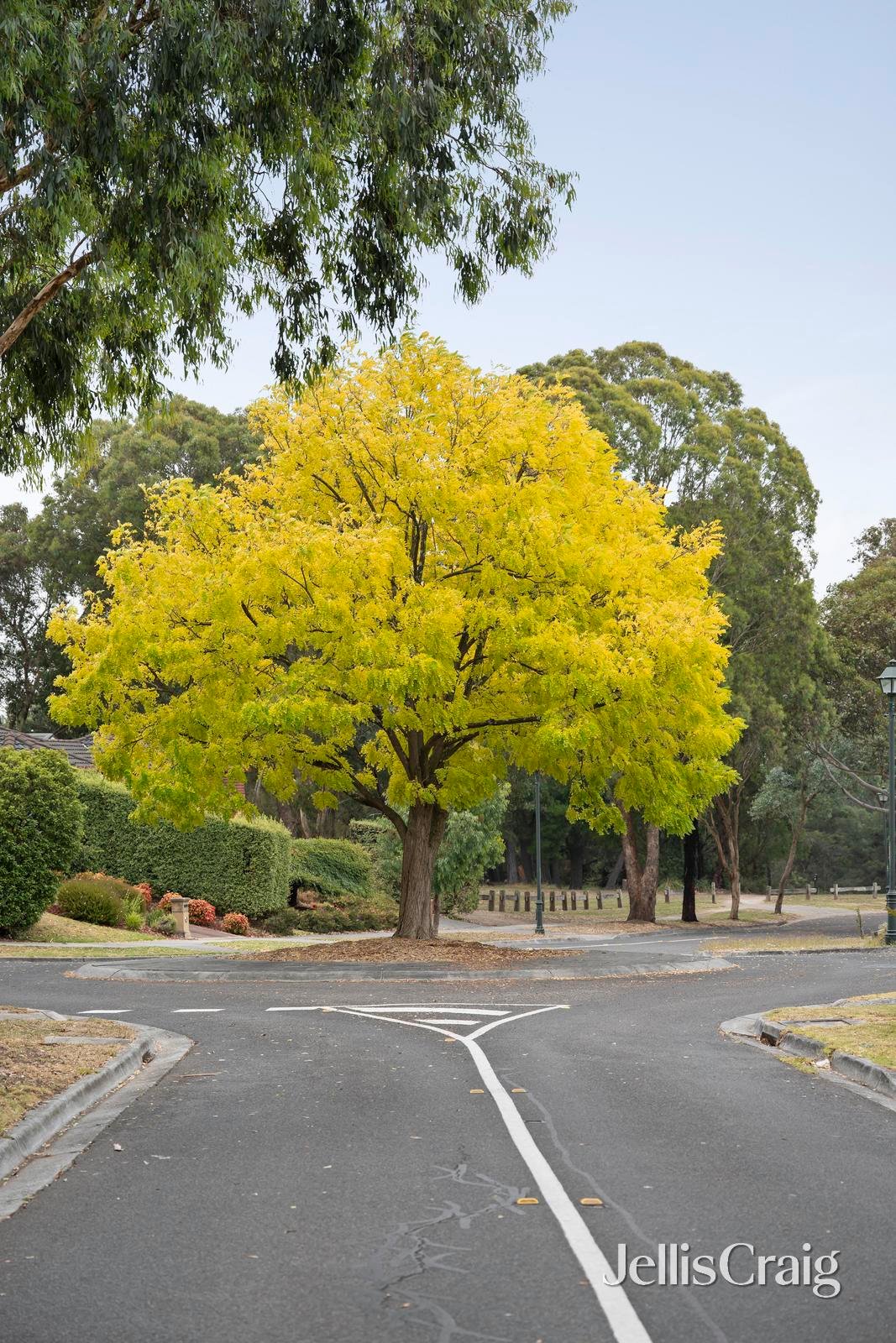 2 Wonuka Court, Croydon&nbsp;Hills image 23