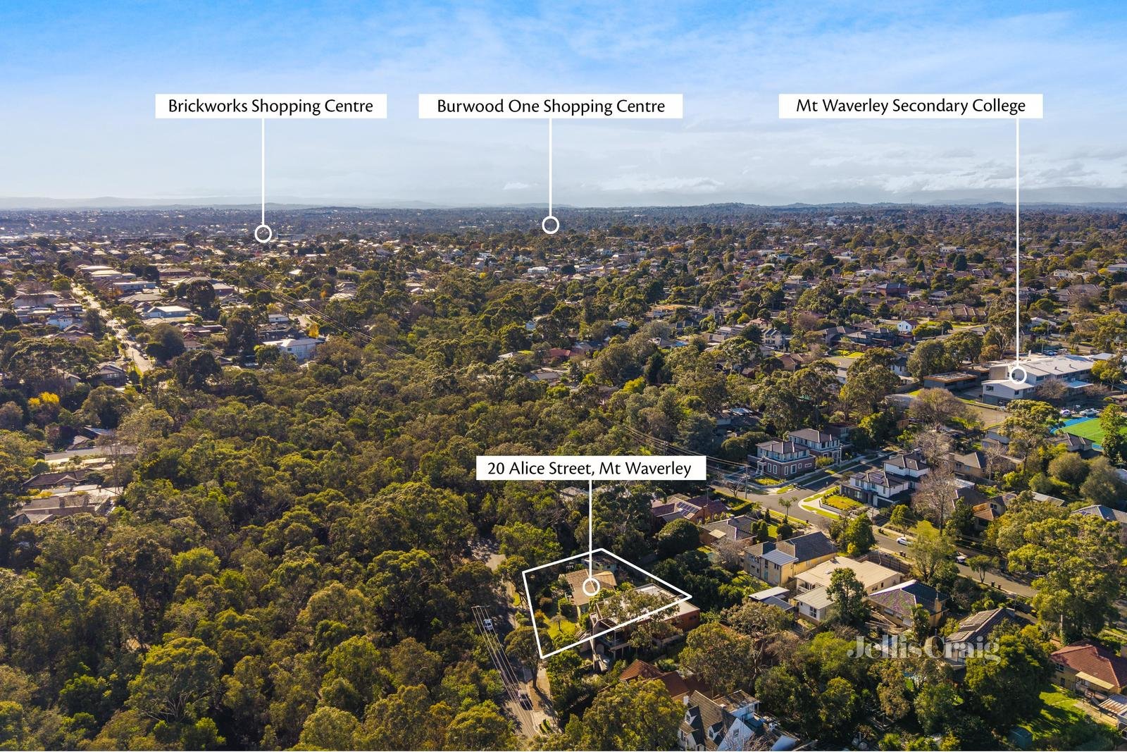 20 Alice Street, Mount Waverley image 8