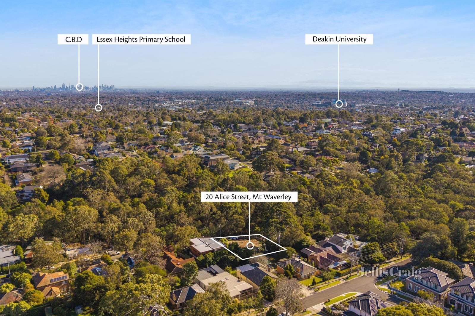 20 Alice Street, Mount Waverley image 10