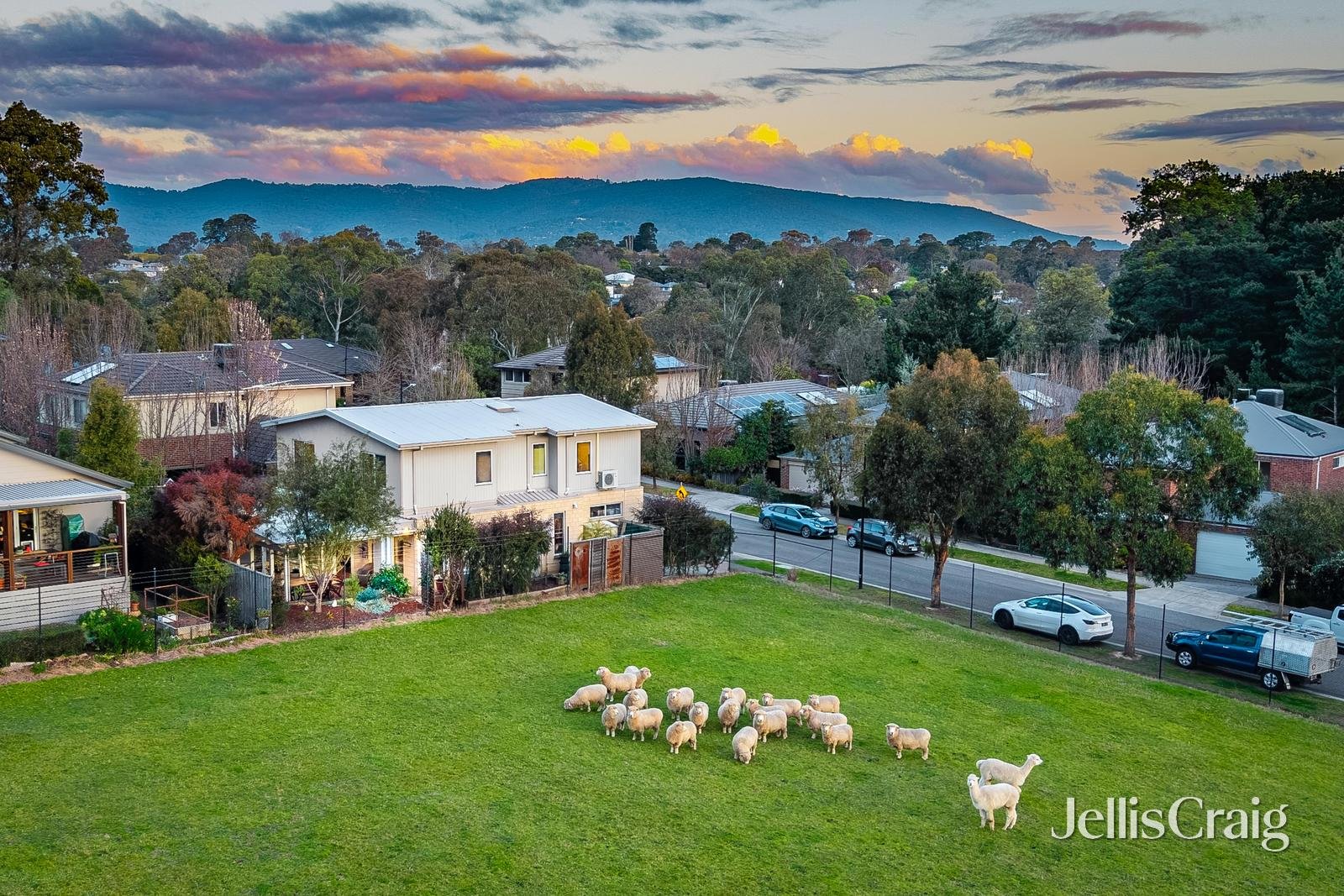 20 Auburn Grove, Croydon South image 25