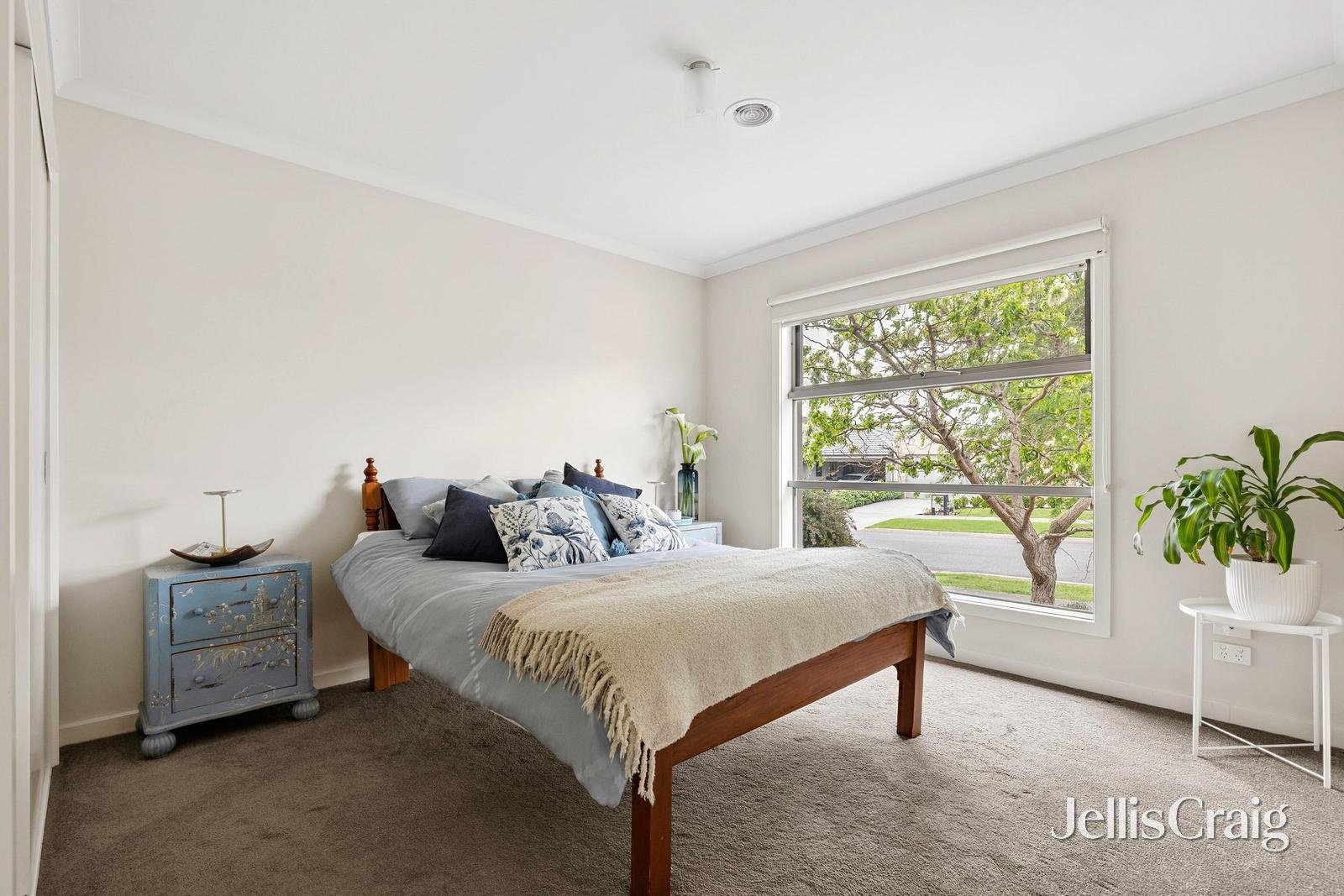 20 Balfour Street, North Geelong image 3