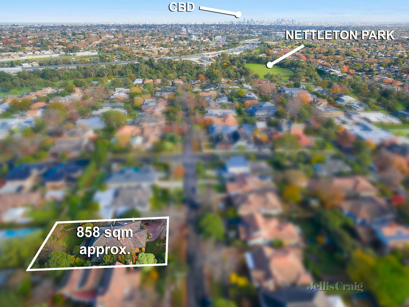 20 Britten Street, Glen Iris image 4