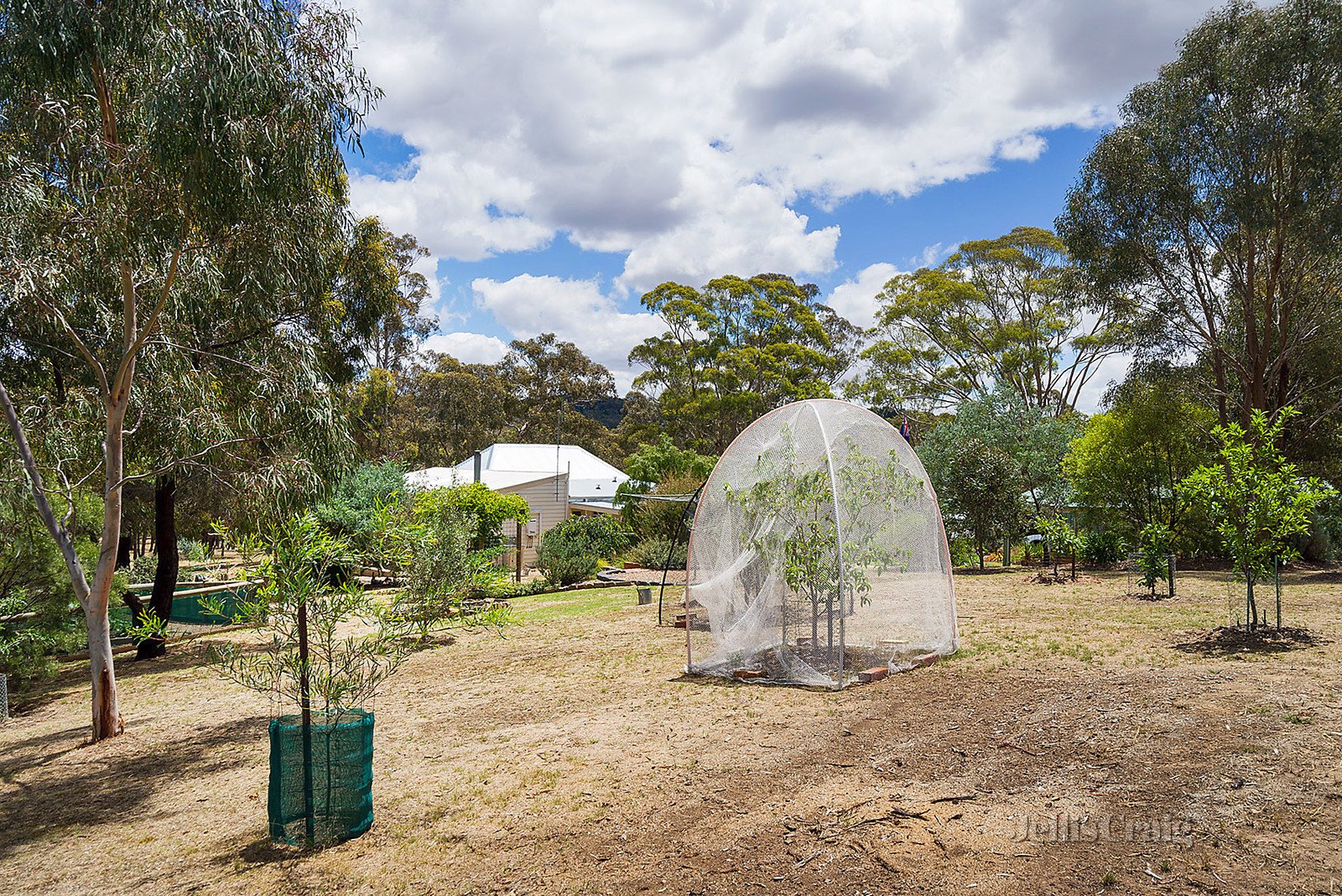 20 Commissioners Gully Road, Chewton image 17