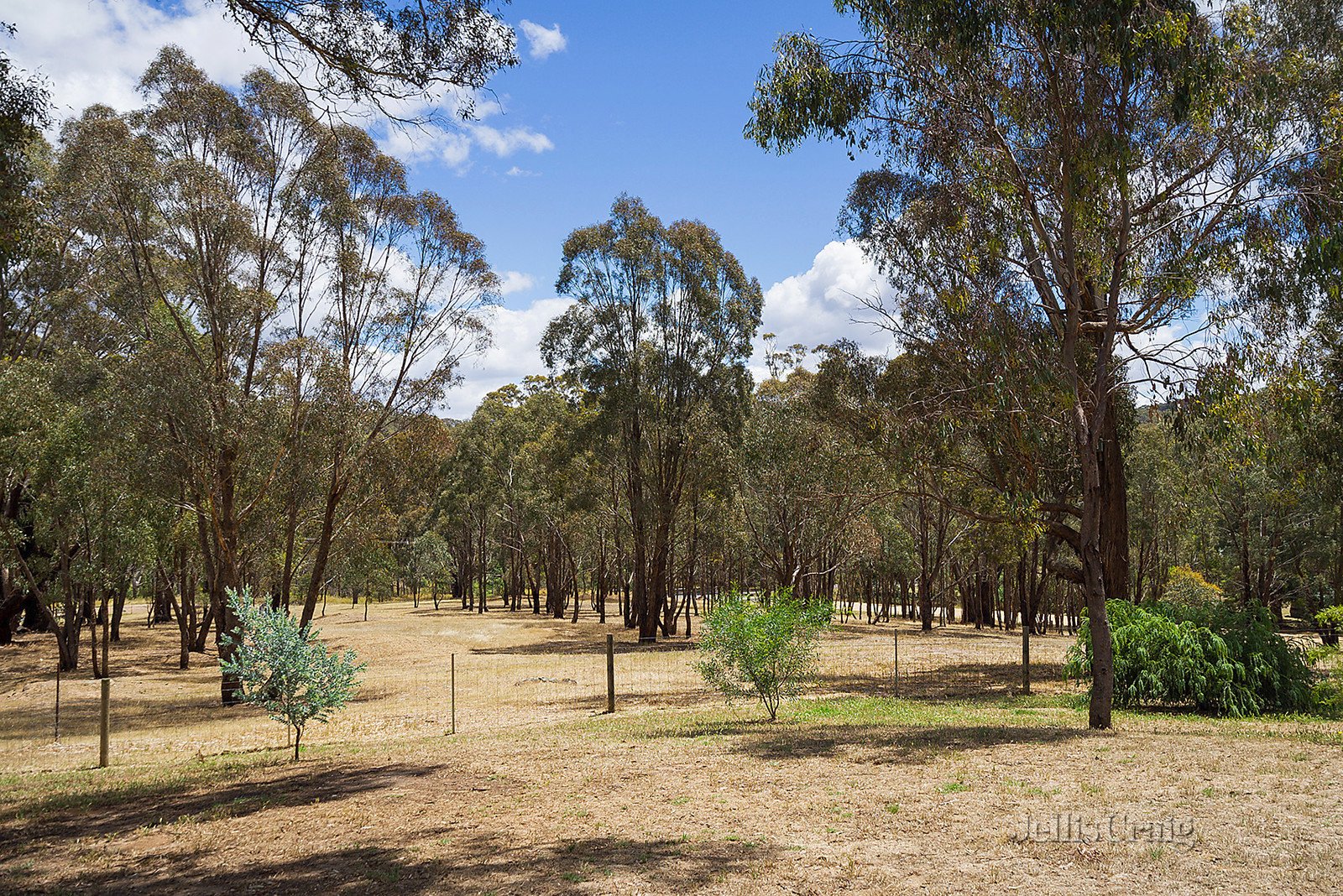 20 Commissioners Gully Road, Chewton image 20