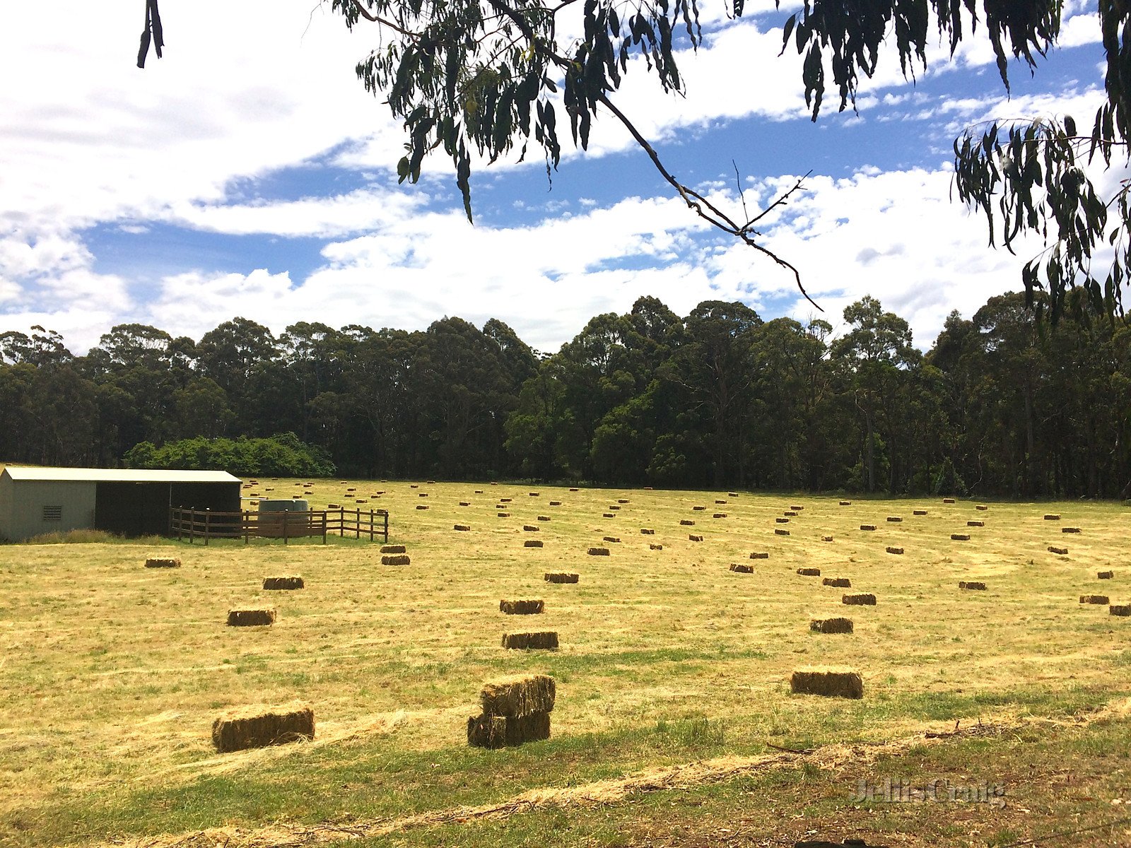 20 Donald Lane, Trentham image 18