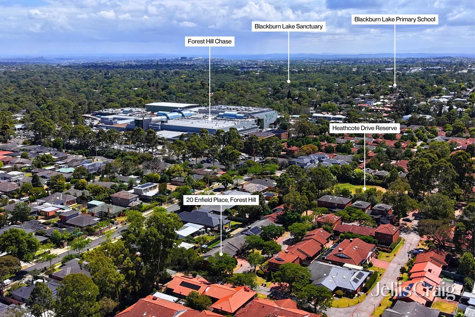 20 Enfield Place, Forest&nbsp;Hill image 10