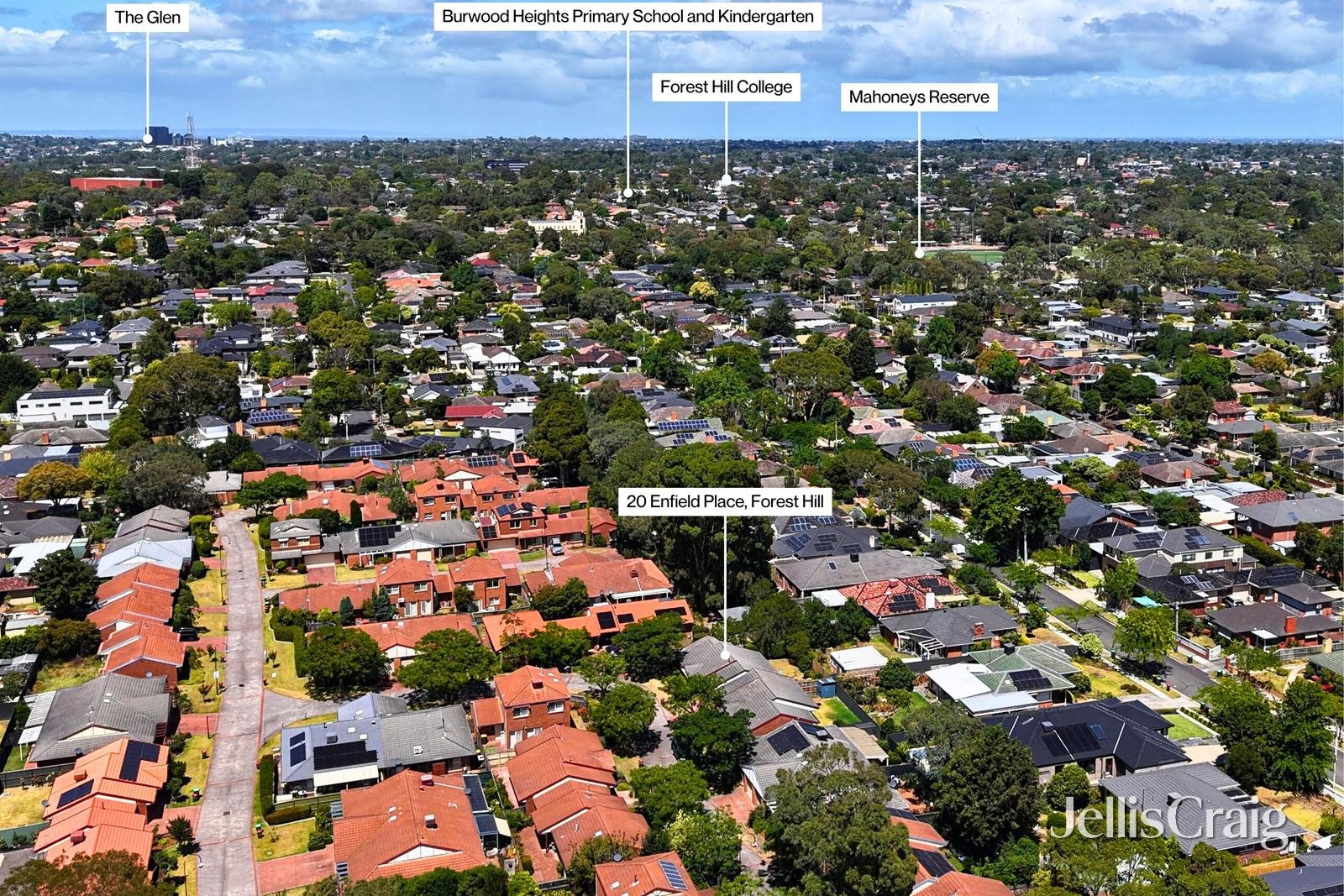 20 Enfield Place, Forest&nbsp;Hill image 11