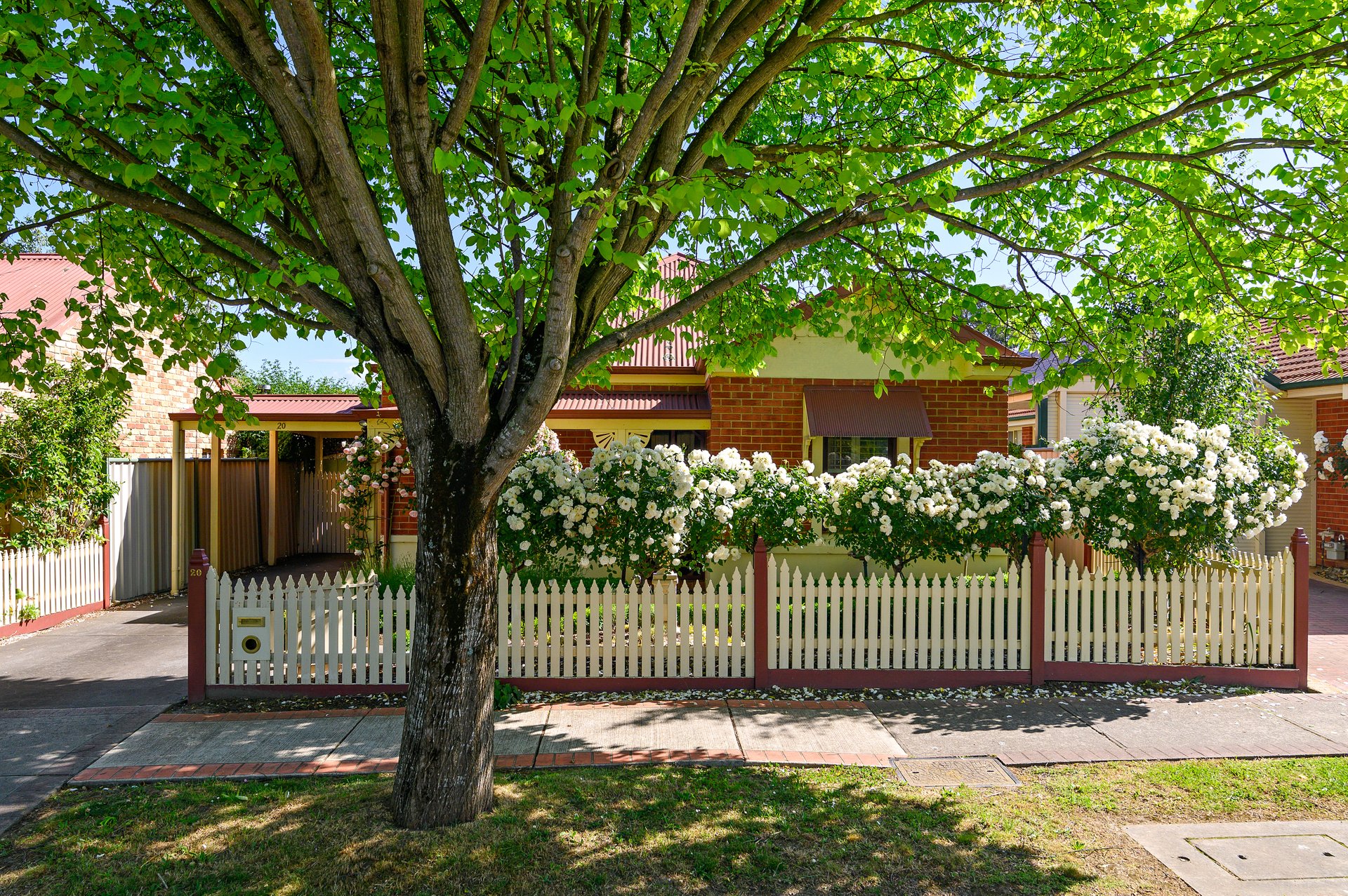 20 Goldentree Drive, Chirnside&nbsp;Park image 1