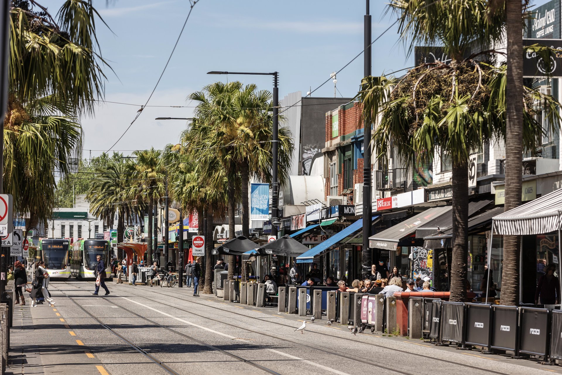 20 Greeves Street, St Kilda image 8