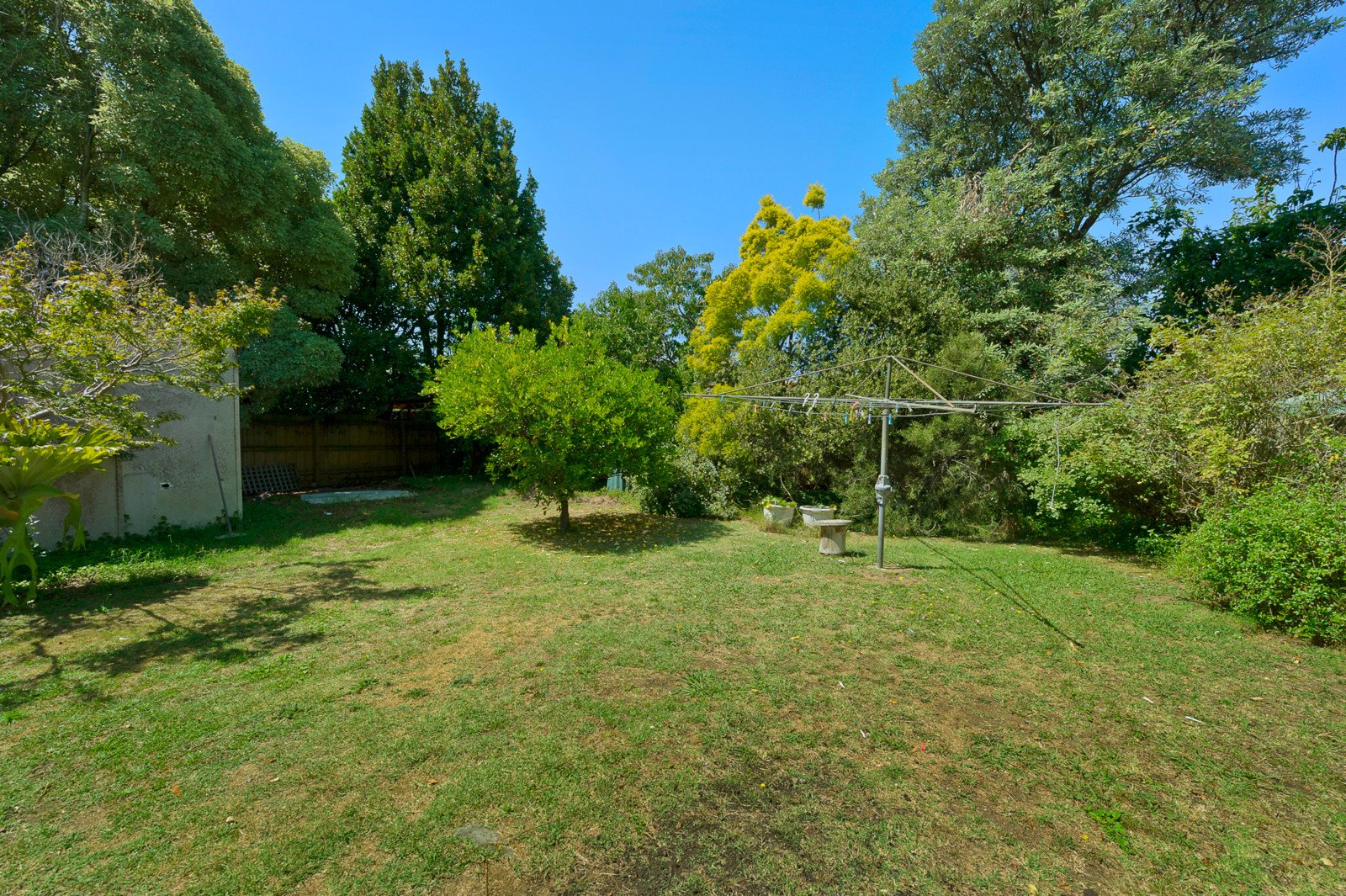 20 Halliday Street, Mount Waverley image 5