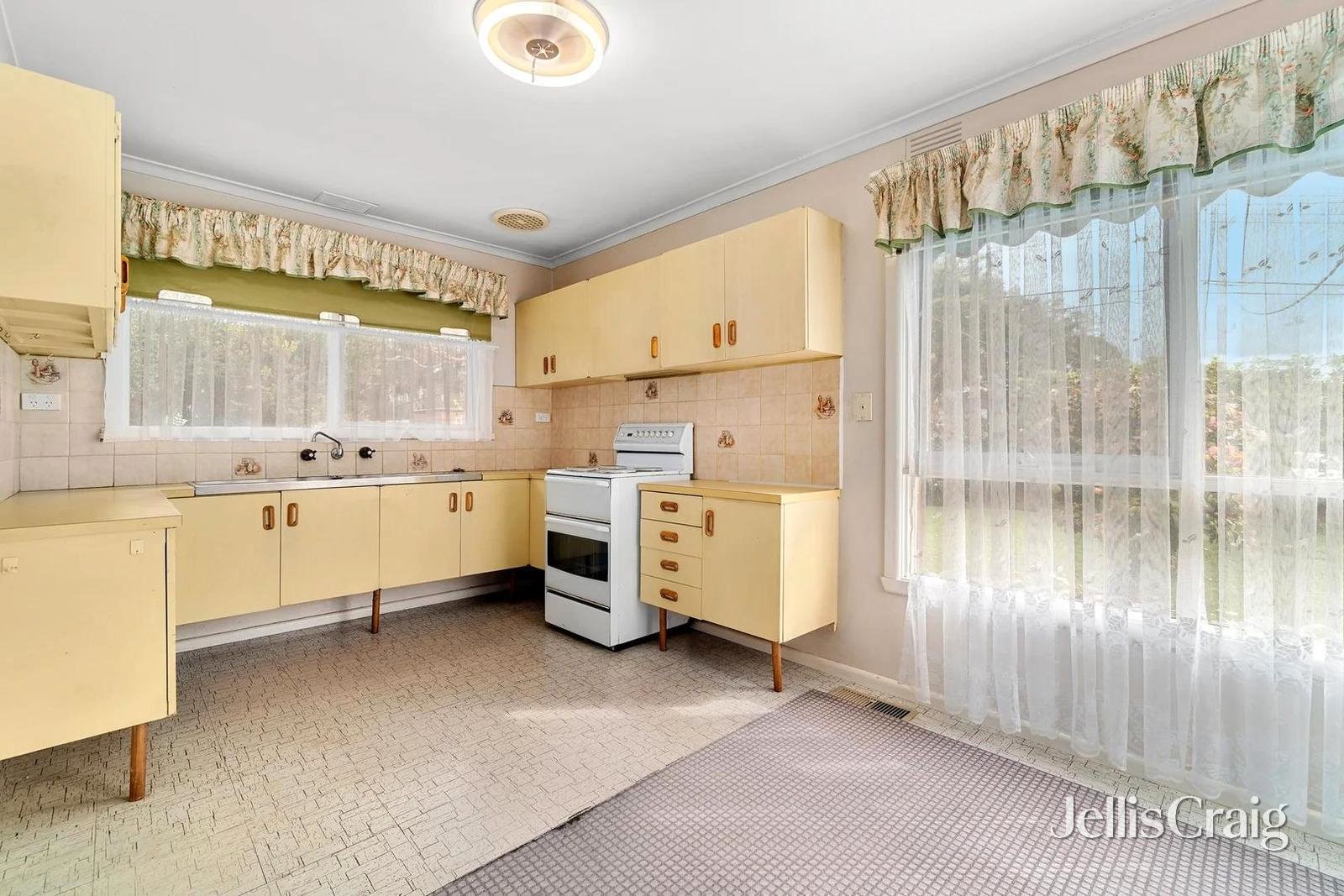 20 Hill Street, Ringwood&nbsp;East image 3