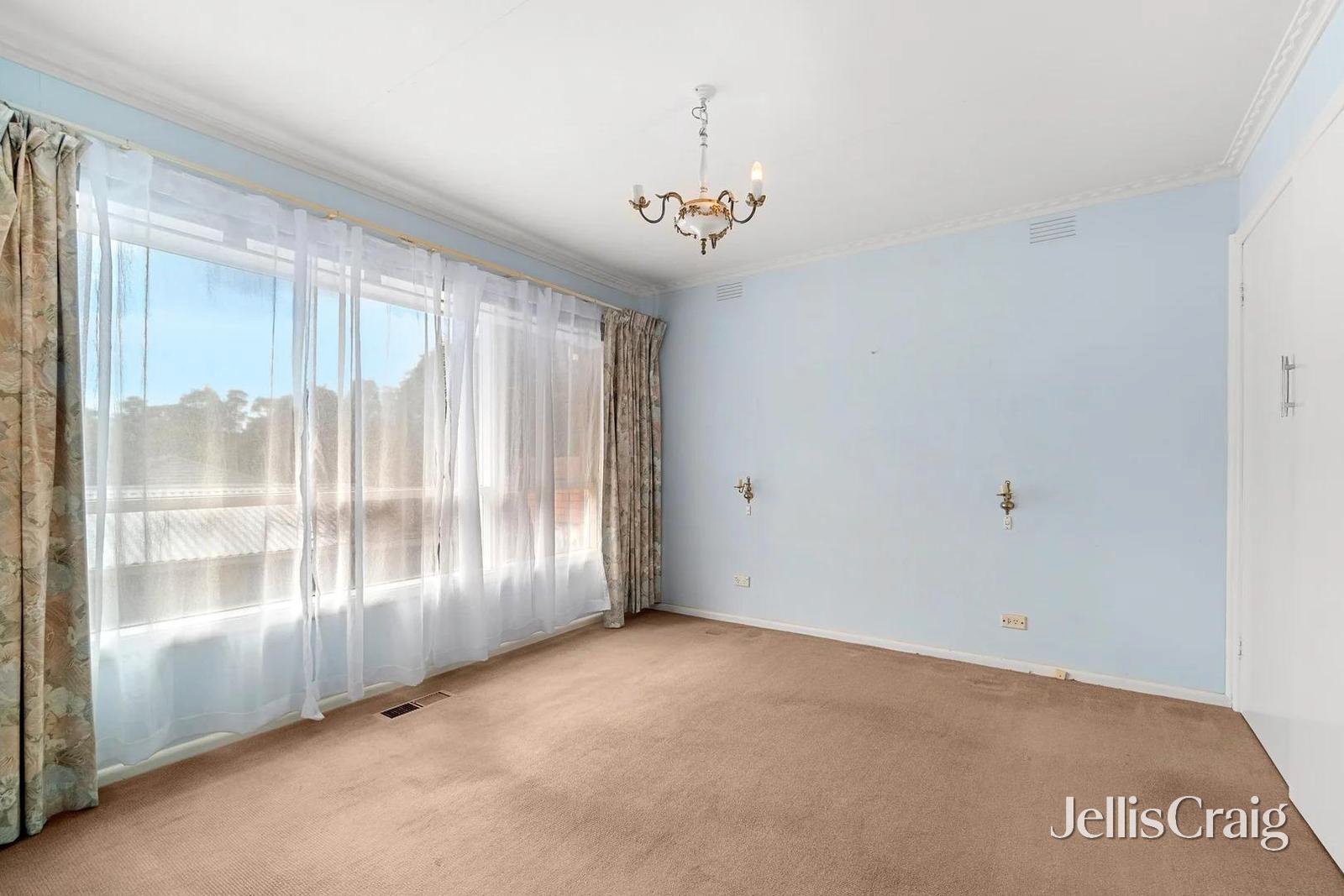 20 Hill Street, Ringwood&nbsp;East image 6