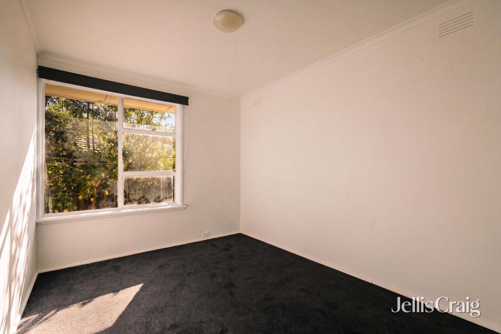 20 Hodgson Grove, Bentleigh&nbsp;East image 8