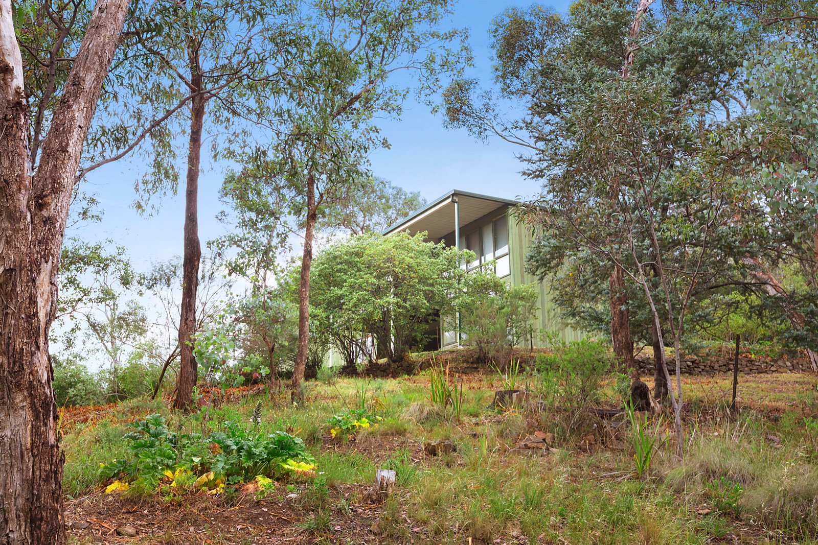 20 Kangaroo Ground Road, North Warrandyte image 5