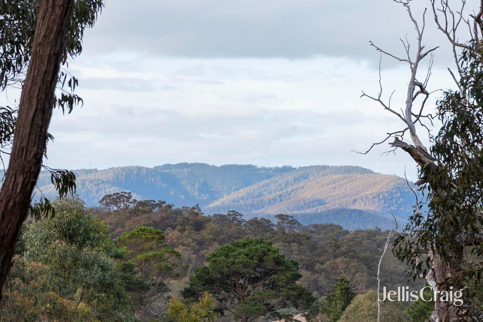 20 Kerrs Road, St Andrews image 15