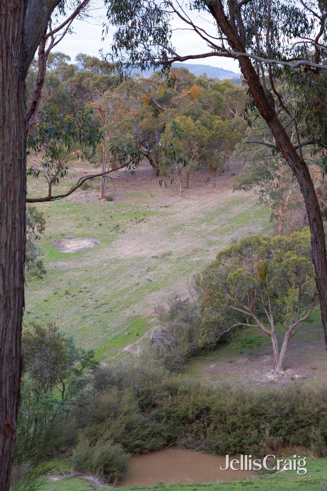 20 Kerrs Road, St Andrews image 16